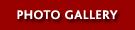 Button linking to Photo Gallery